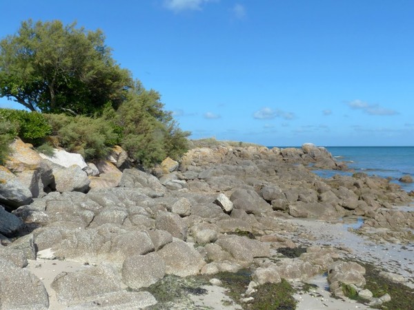 Plage de Basse Normandie (Manche)