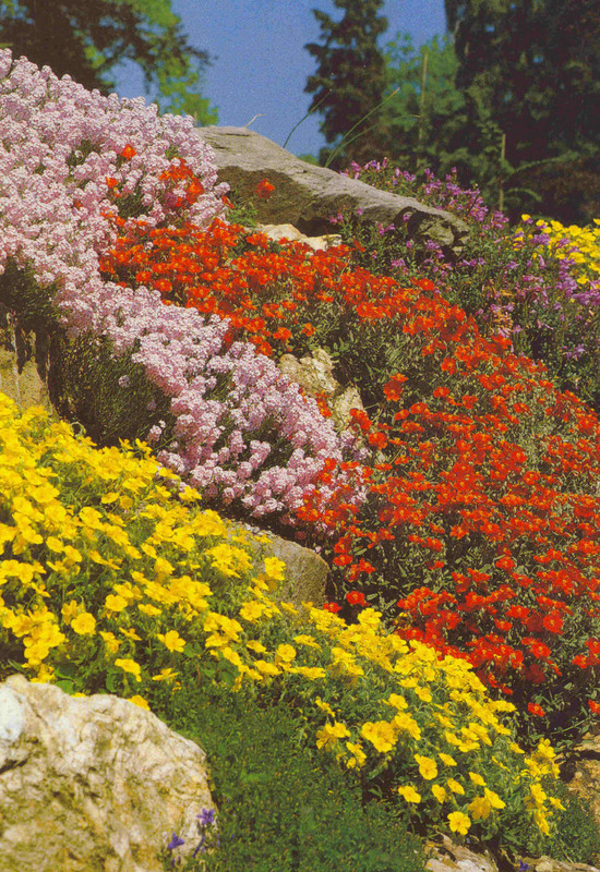 Paysages -Printemps -Eté