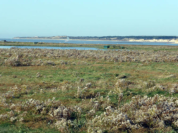 Plage du Nord - Pas de Calais