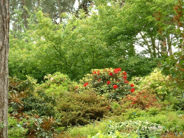 Parc  au printemps