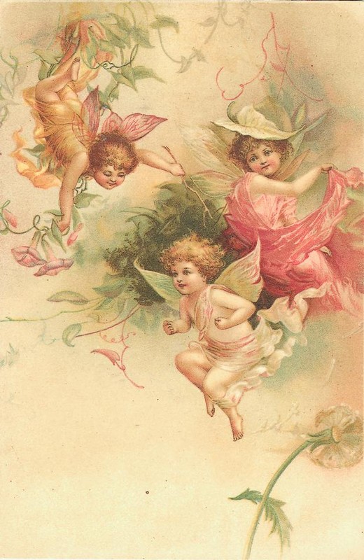 Illustration fées et elfes