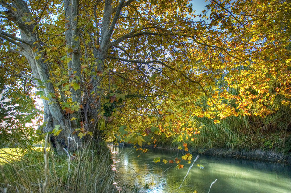 Paysage d'automne