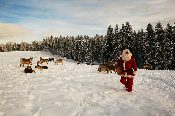 Belle image de Noël