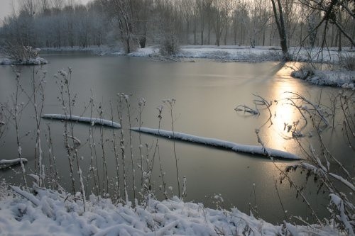 Paysages d'hiver