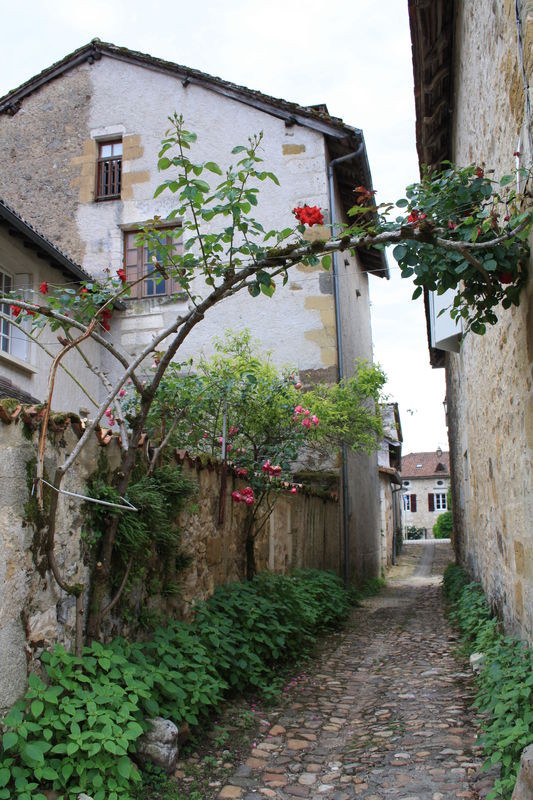 Beau village de Saint-Jean-de-Côle