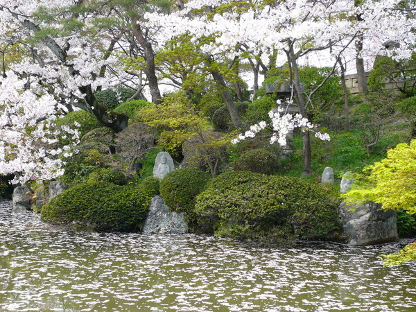 Paysages -Printemps -Eté