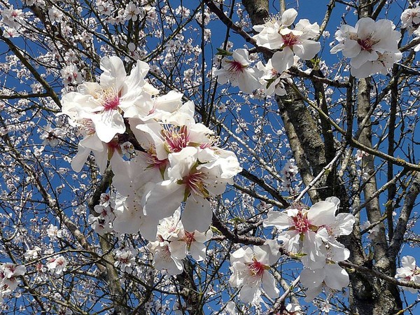 Paysages -Printemps -Eté