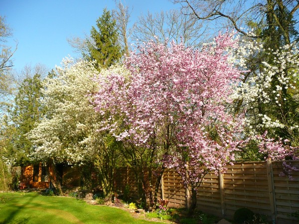 Paysages -Printemps -Eté