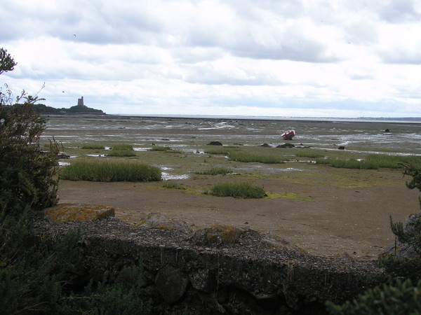 Plage de Basse Normandie (Manche)