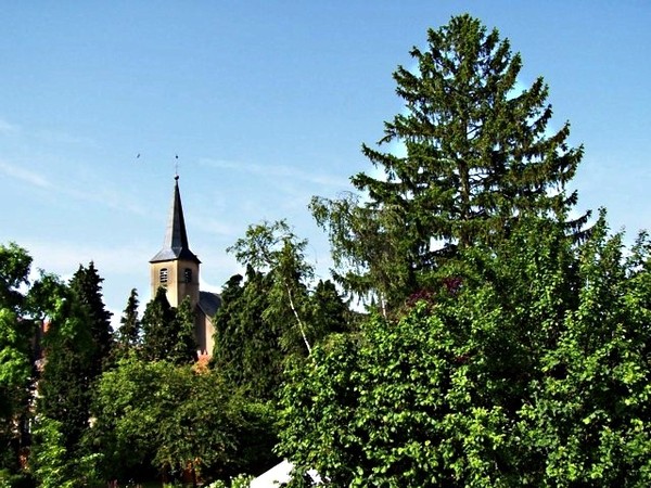 Beau village de Rodemack