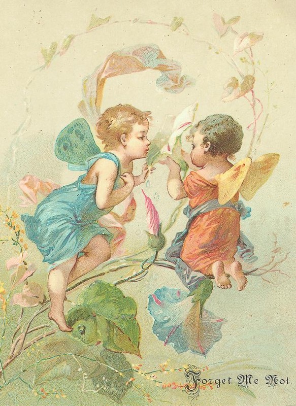 Illustration fées et elfes