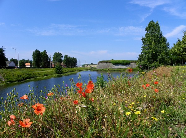 Paysages -Printemps -Eté