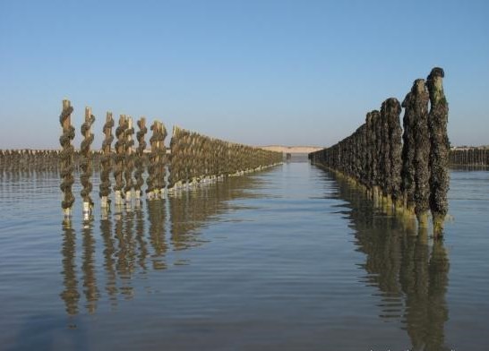 Plage de Basse Normandie (Manche)