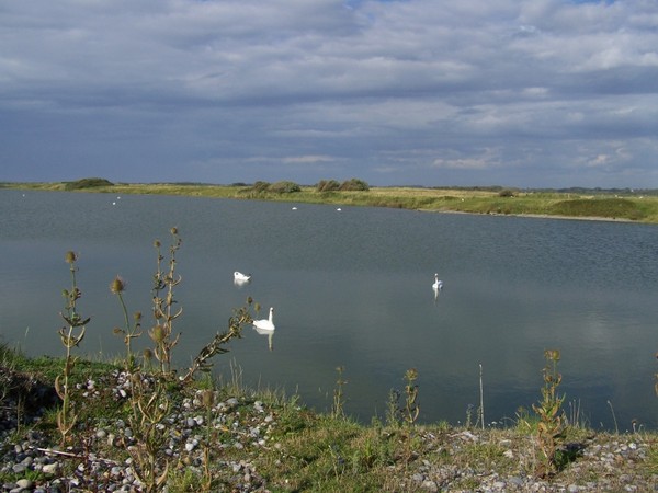 Plage de Picardie