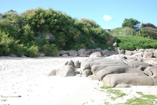 Plage de Basse Normandie (Manche)