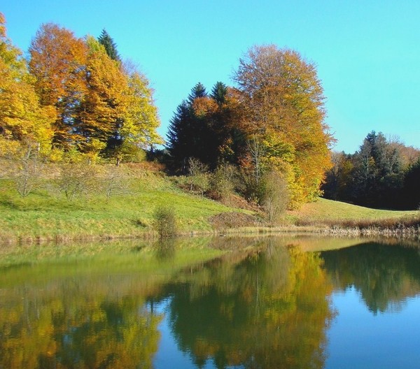 Paysage d'automne