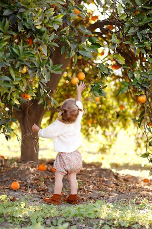 Le temps de l'innocence