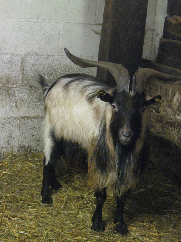 La ferme d'Antan - Creuse(2011)