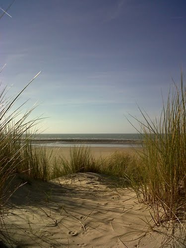 Plage de Basse Normandie (Manche)