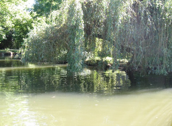 Amiens -Les hortillonnages