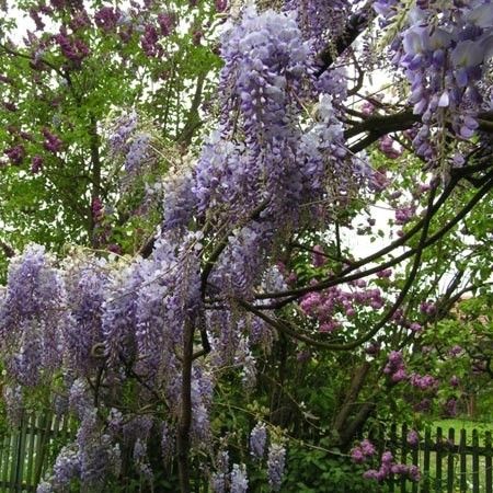 Paysages -Printemps -Eté