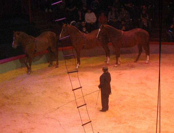 Amiens-Le cirque Arlette Gruss