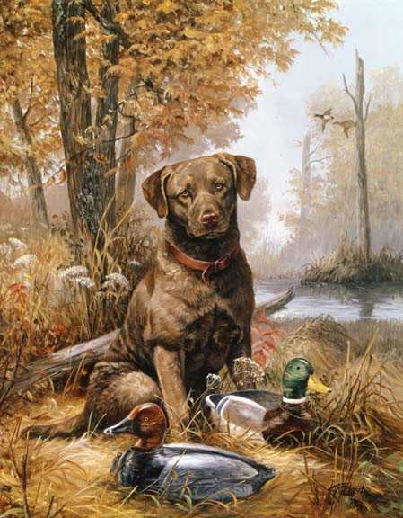 Animaux de Linda Picken ( Chien)