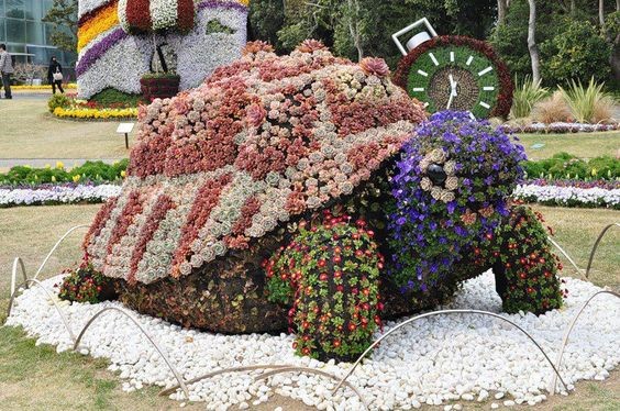 Sculture florale -Topiaire