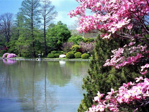 Paysages -Printemps -Eté