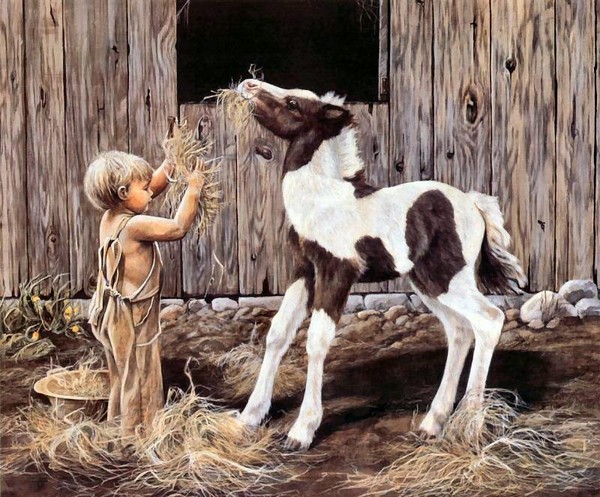 Image - L'enfant et le poulain