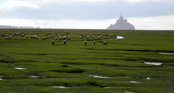 Plage de Basse Normandie (Manche)