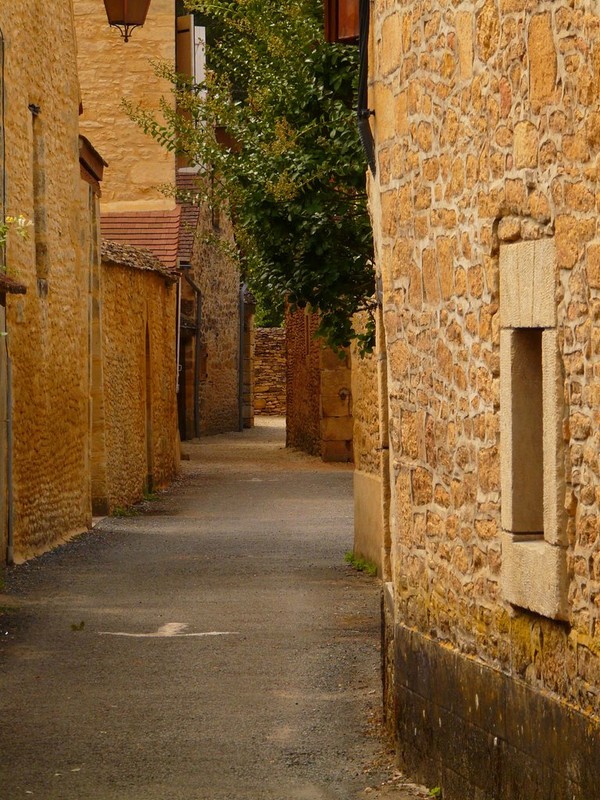 Beau village de Saint-Léon-sur-Vézère