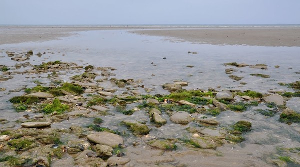 Plage de Basse Normandie (Manche)