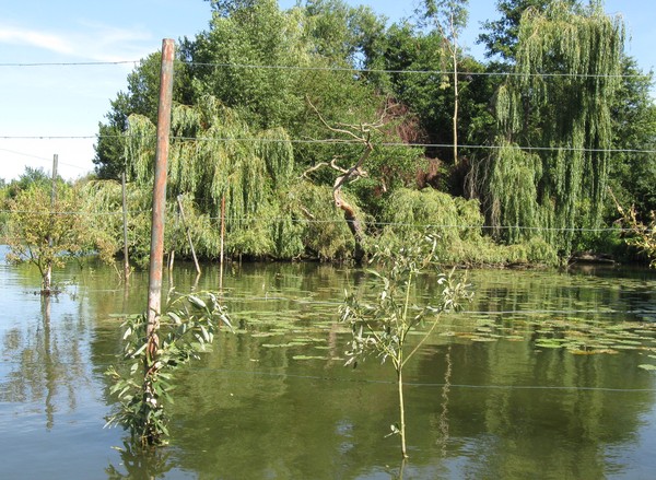 Amiens -Les hortillonnages