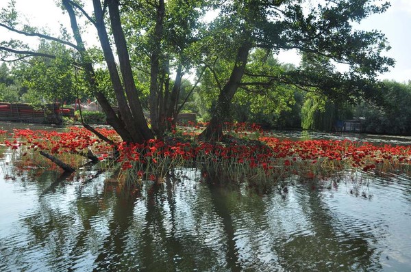 Paysages -Printemps -Eté