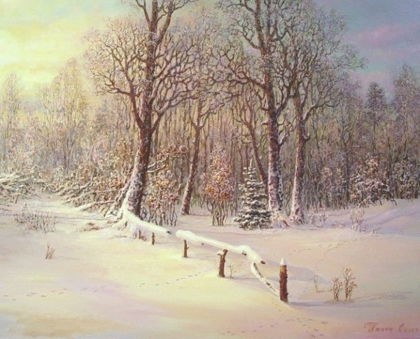 Paysage de neige de Sergey Panine