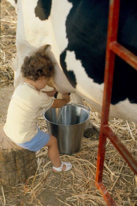 Le temps de l'innocence