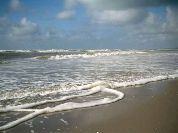 Plage du Nord - Pas de Calais