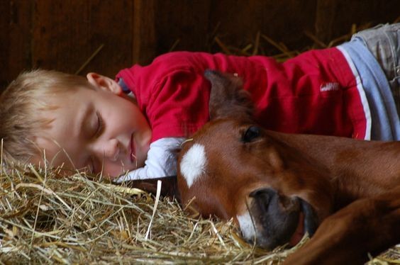 Enfant et leur animal