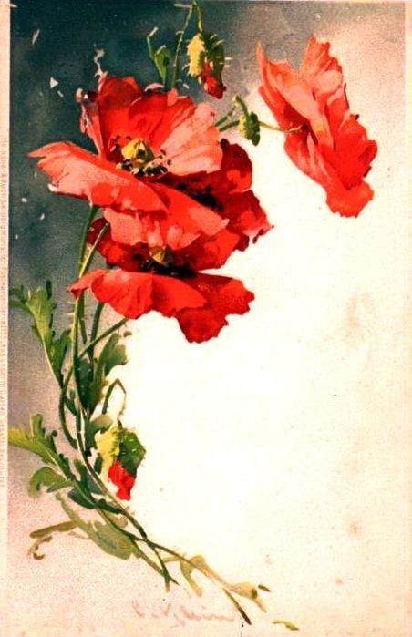 Fleurs de Catherine Klein