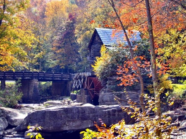 Paysage d'automne