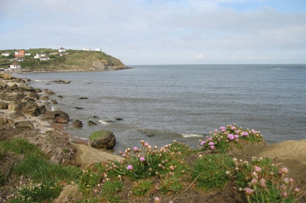 Plage du Nord -Pas de Calais