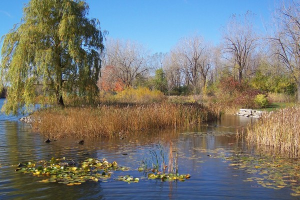 Paysage d'automne