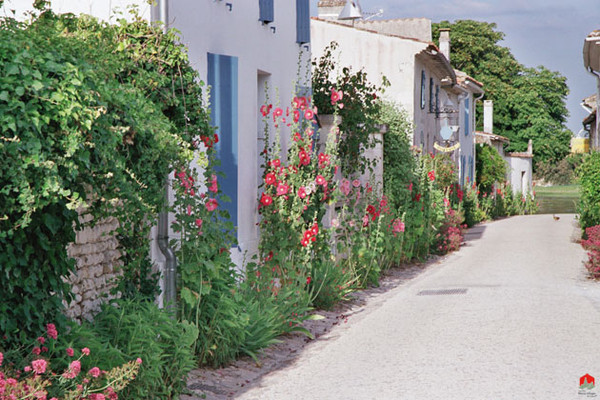 Beau village de Talmont-sur Gironde