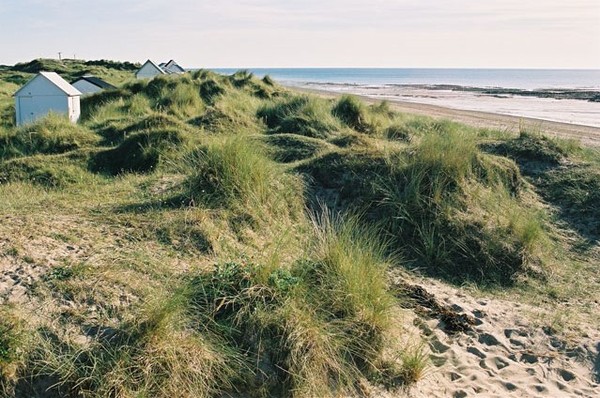 Plage de Basse Normandie (Manche)