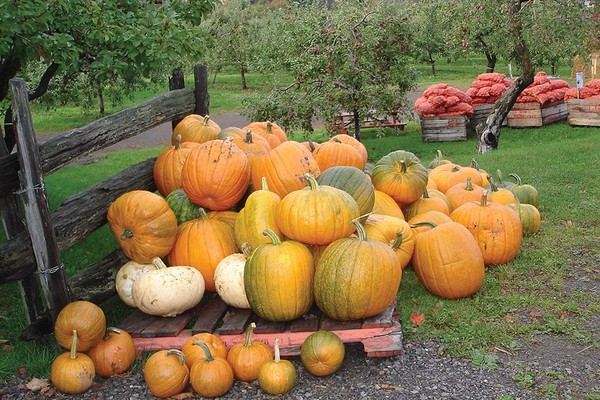 Couleurs et parfums d'Automne