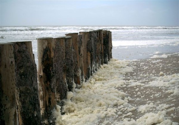 Plage du Nord - Pas de Calais