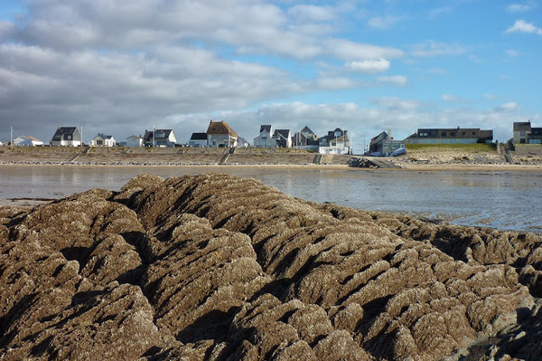 Plage de Basse Normandie (Manche)