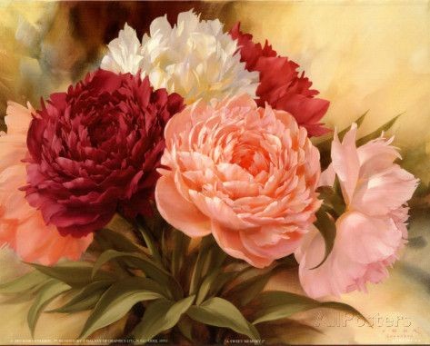 Fleurs de Igor Levashov