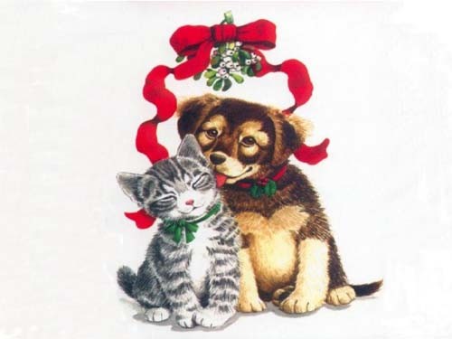  Chiot et chaton de Noël